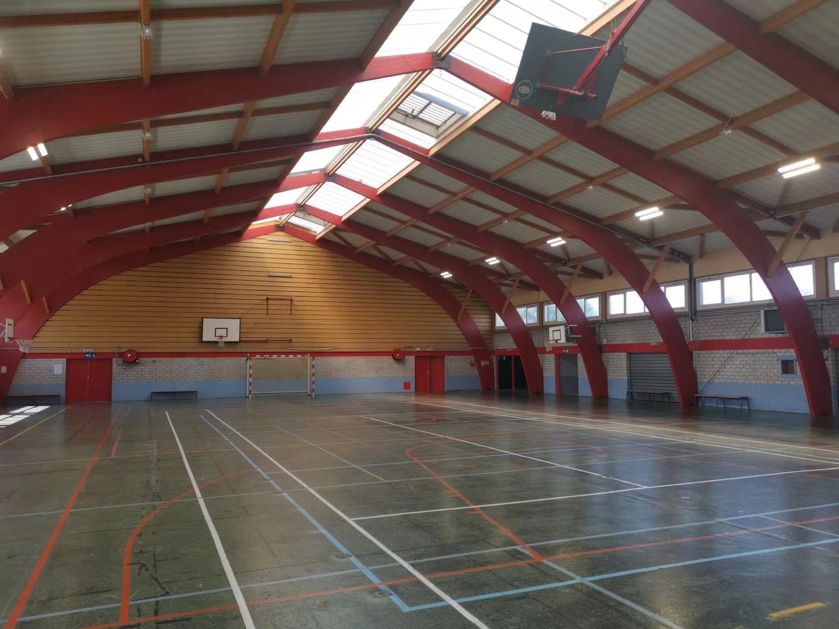 K9 light up the indoor basketball court