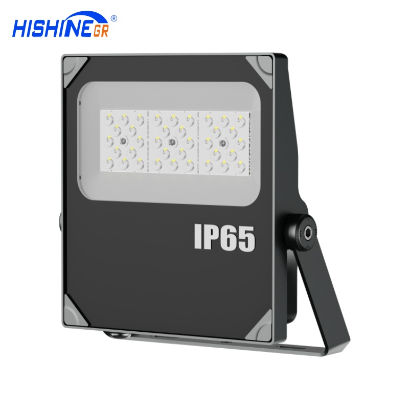 50W D-Series Floodlight