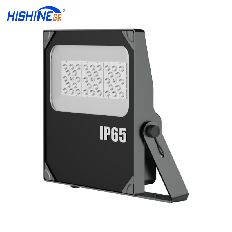 Hishine D-Series Floodlight