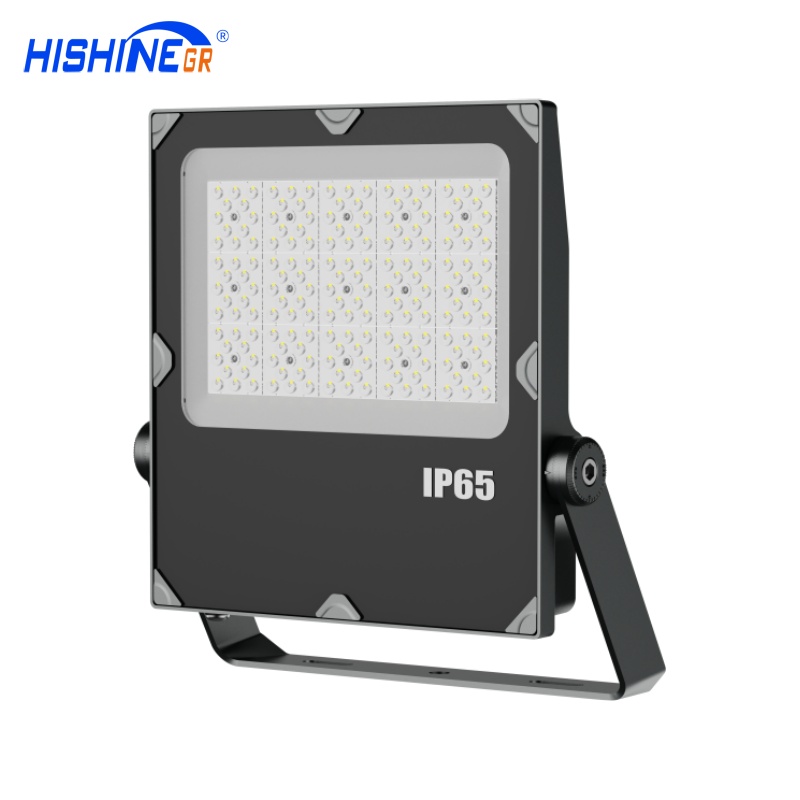 200W D-Series Floodlight