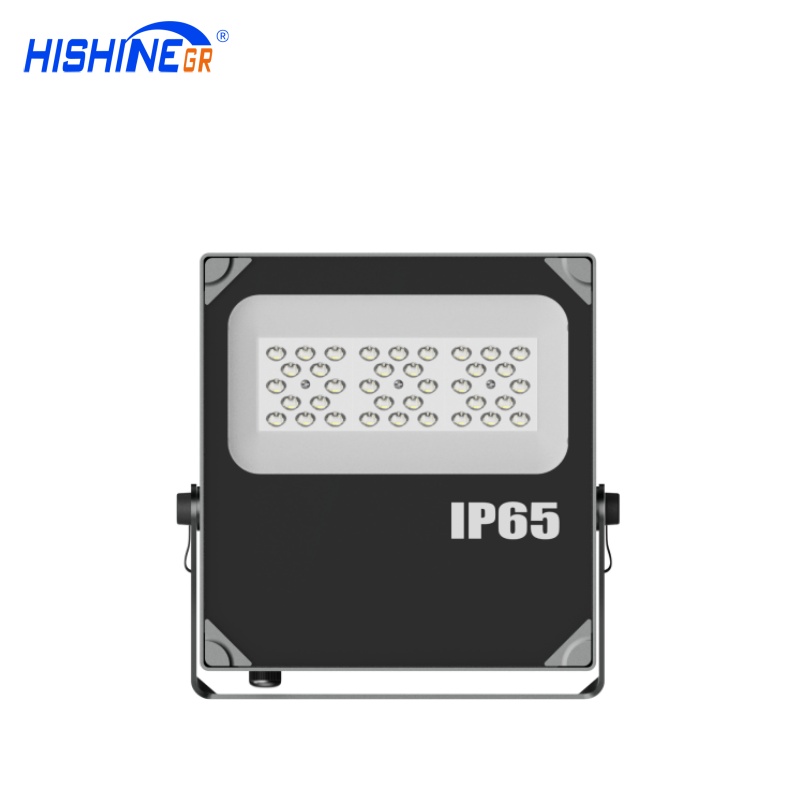 50W D-Series Floodlight