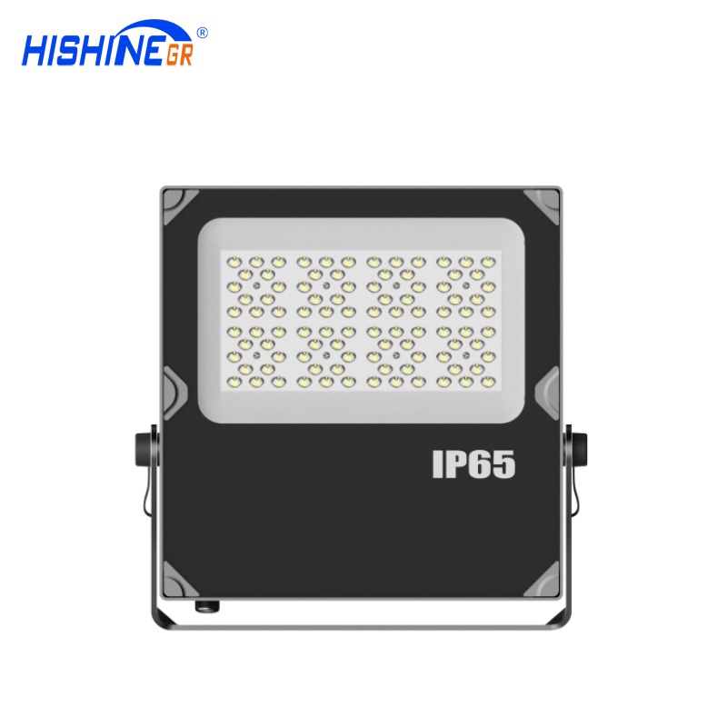 100W D-Series Floodlight