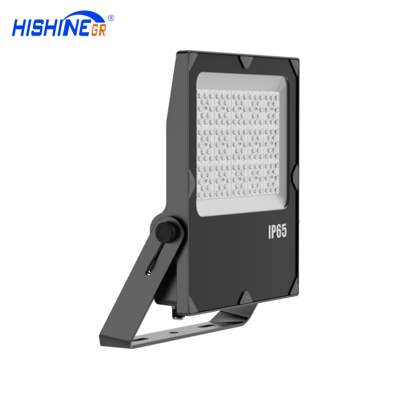 300W D-Series Floodlight