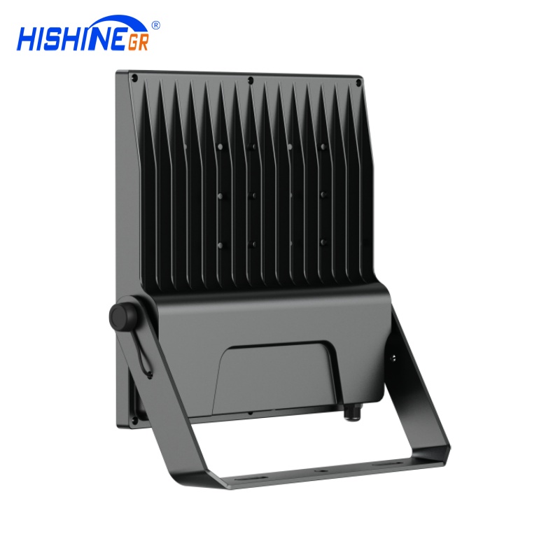 300W D-Series Floodlight